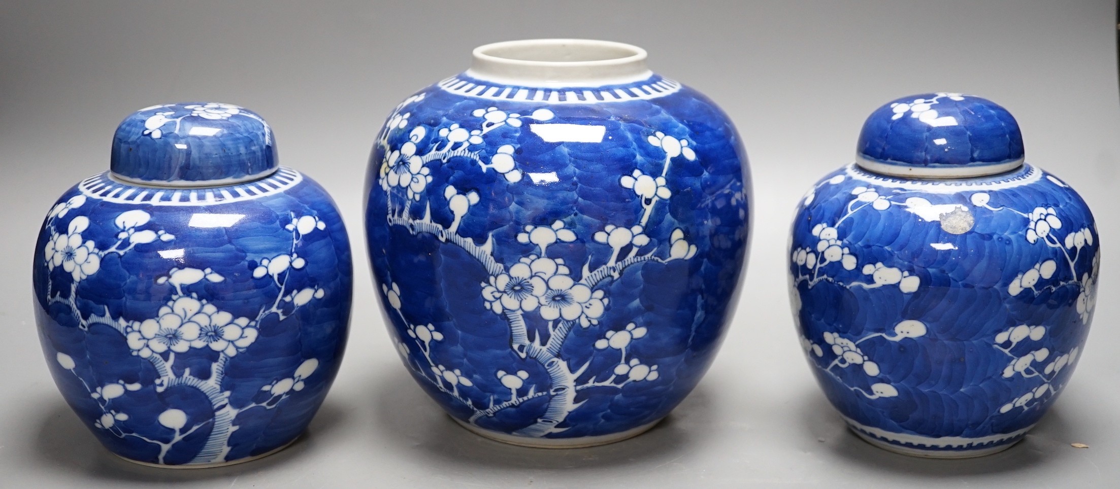 Three late 19th/early 20th century Chinese blue and white prunus jars, two covers. Tallest 16cm